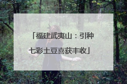 福建武夷山：引种七彩土豆喜获丰收