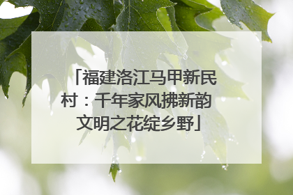 福建洛江马甲新民村：千年家风拂新韵 文明之花绽乡野