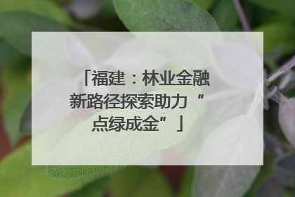 福建：林业金融新路径探索助力“点绿成金”