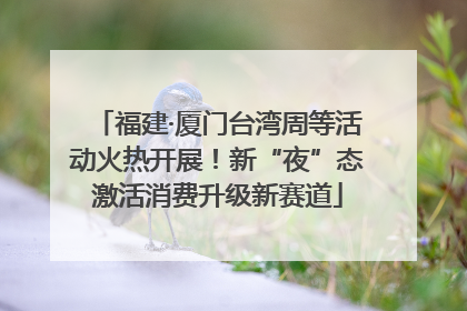 福建·厦门台湾周等活动火热开展！新“夜”态激活消费升级新赛道