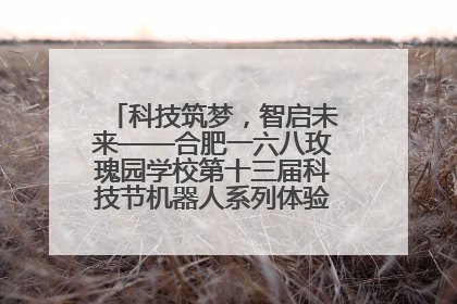 科技筑梦，智启未来——合肥一六八玫瑰园学校第十三届科技节机器人系列体验赛燃动校园