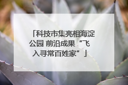 科技市集亮相海淀公园 前沿成果“飞入寻常百姓家”