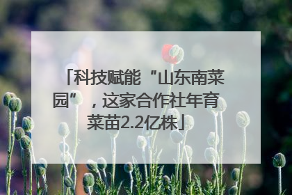 科技赋能“山东南菜园”，这家合作社年育菜苗2.2亿株