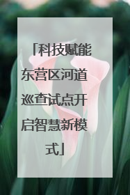 科技赋能东营区河道巡查试点开启智慧新模式