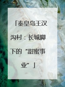 秦皇岛王汉沟村：长城脚下的“甜蜜事业”