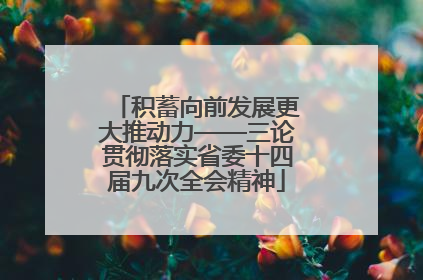 积蓄向前发展更大推动力——三论贯彻落实省委十四届九次全会精神