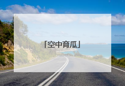 空中育瓜