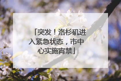突发！洛杉矶进入紧急状态，市中心实施宵禁