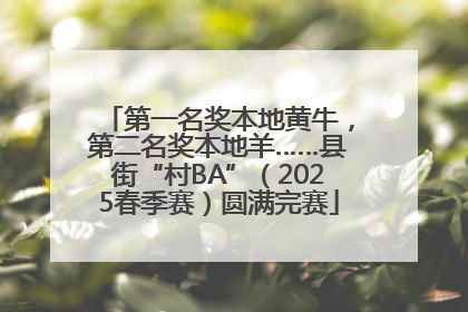 第一名奖本地黄牛，第二名奖本地羊……县街“村BA”（2025春季赛）圆满完赛