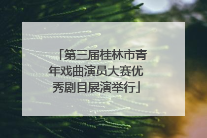 第三届桂林市青年戏曲演员大赛优秀剧目展演举行