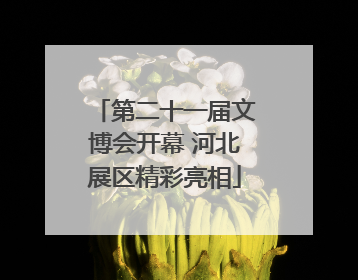 第二十一届文博会开幕 河北展区精彩亮相