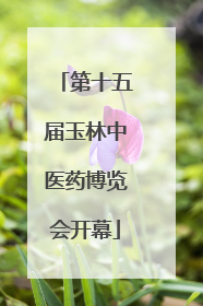 第十五届玉林中医药博览会开幕