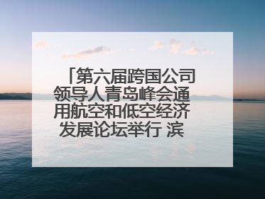 第六届跨国公司领导人青岛峰会通用航空和低空经济发展论坛举行 滨州市全方位推介低空经济发展优势