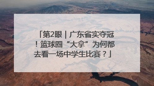 第2眼｜广东省实夺冠！篮球圈“大拿”为何都去看一场中学生比赛？