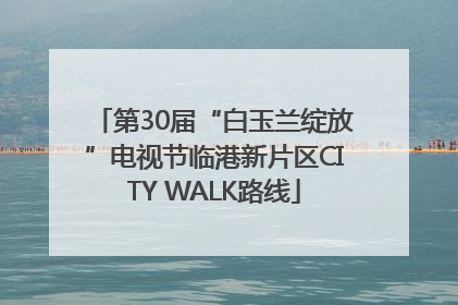 第30届“白玉兰绽放”电视节临港新片区CITY WALK路线