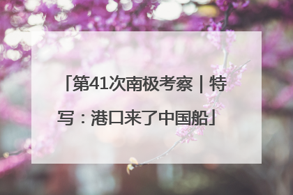 第41次南极考察｜特写：港口来了中国船