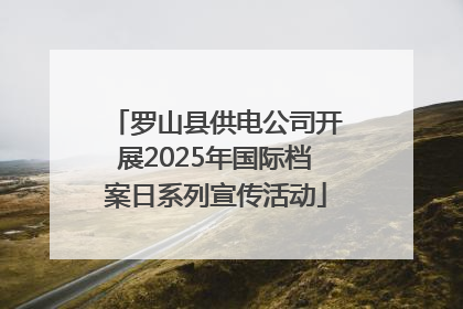 罗山县供电公司开展2025年国际档案日系列宣传活动