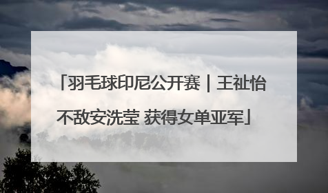 羽毛球印尼公开赛｜王祉怡不敌安洗莹 获得女单亚军