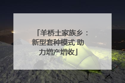 羊桥土家族乡：新型套种模式 助力增产增收