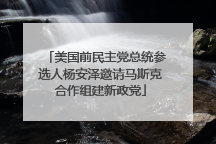 美国前民主党总统参选人杨安泽邀请马斯克合作组建新政党