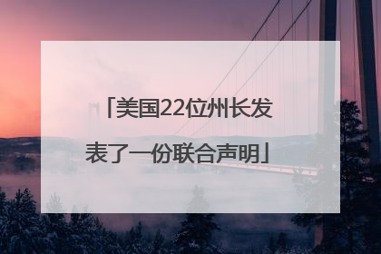 美国22位州长发表了一份联合声明