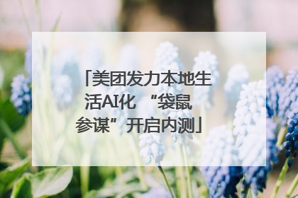 美团发力本地生活AI化 “袋鼠参谋”开启内测