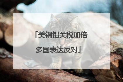 美钢铝关税加倍 多国表达反对