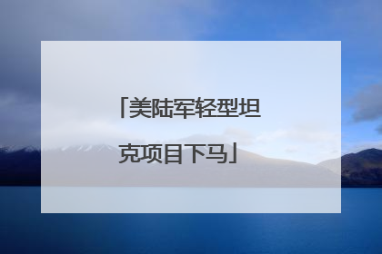 美陆军轻型坦克项目下马