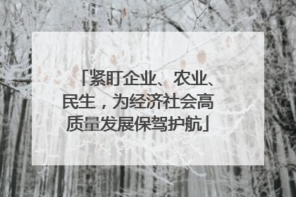 紧盯企业、农业、民生，为经济社会高质量发展保驾护航