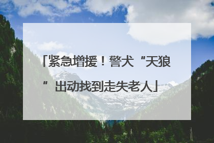 紧急增援！警犬“天狼”出动找到走失老人