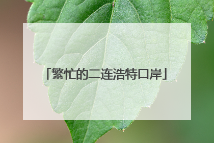 繁忙的二连浩特口岸