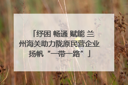 纾困 畅通 赋能 兰州海关助力陇原民营企业扬帆“一带一路”