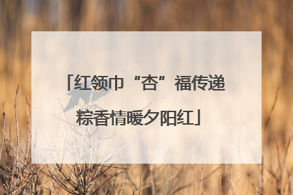 红领巾“杏”福传递 粽香情暖夕阳红