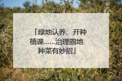绿地认养、开种植课……治理圈地种菜有妙招