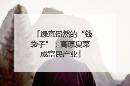 绿意盎然的“钱袋子”：高原夏菜成富民产业
