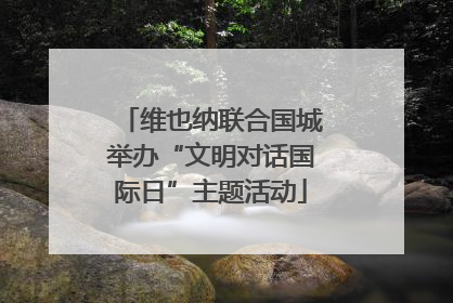 维也纳联合国城举办“文明对话国际日”主题活动