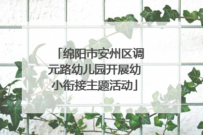 绵阳市安州区调元路幼儿园开展幼小衔接主题活动