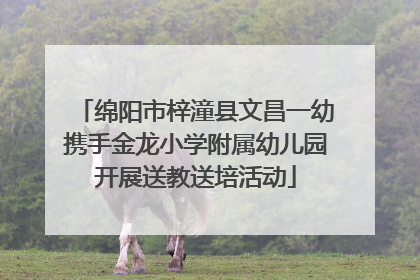绵阳市梓潼县文昌一幼携手金龙小学附属幼儿园开展送教送培活动