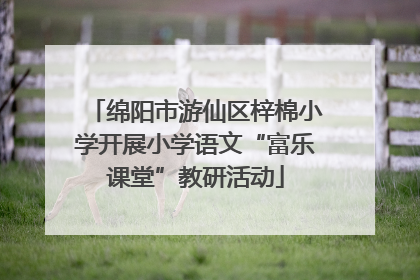 绵阳市游仙区梓棉小学开展小学语文“富乐课堂”教研活动