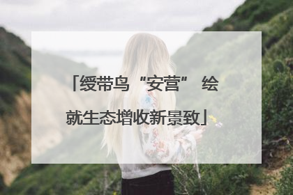 绶带鸟“安营” 绘就生态增收新景致