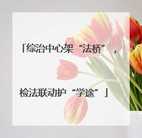 综治中心架“法桥”，检法联动护“学途”