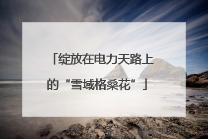 绽放在电力天路上的“雪域格桑花”