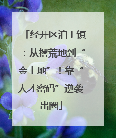 经开区泊于镇：从撂荒地到“金土地”！靠“人才密码”逆袭出圈