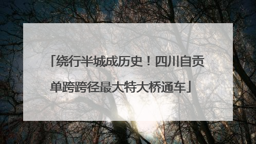 绕行半城成历史！四川自贡单跨跨径最大特大桥通车