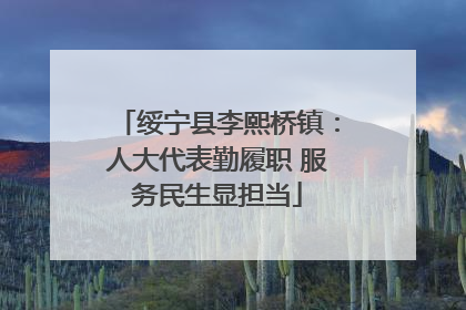 绥宁县李熙桥镇：人大代表勤履职 服务民生显担当