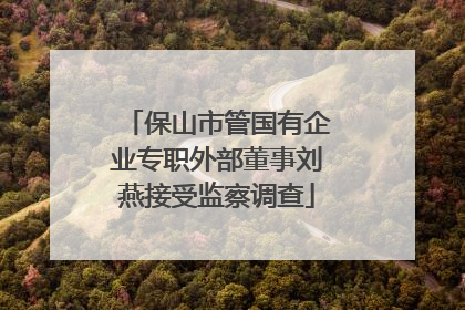 保山市管国有企业专职外部董事刘燕接受监察调查