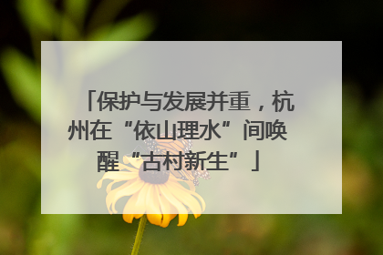 保护与发展并重，杭州在“依山理水”间唤醒“古村新生”