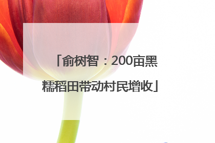 俞树智：200亩黑糯稻田带动村民增收