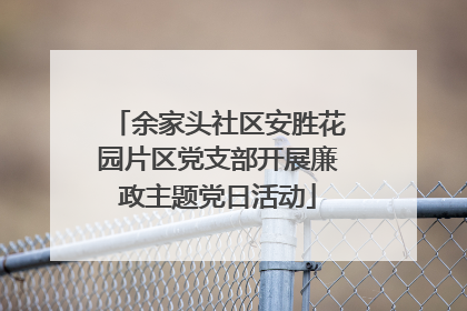 余家头社区安胜花园片区党支部开展廉政主题党日活动