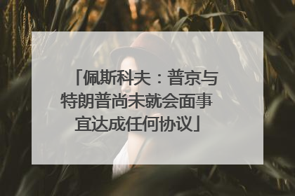 佩斯科夫：普京与特朗普尚未就会面事宜达成任何协议